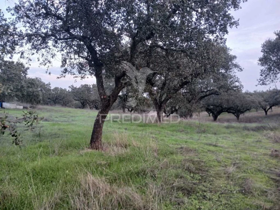 Terreno para Venda em Nossa Senhora da Conceição, São Brás dos Matos, Juromenha Foto 19