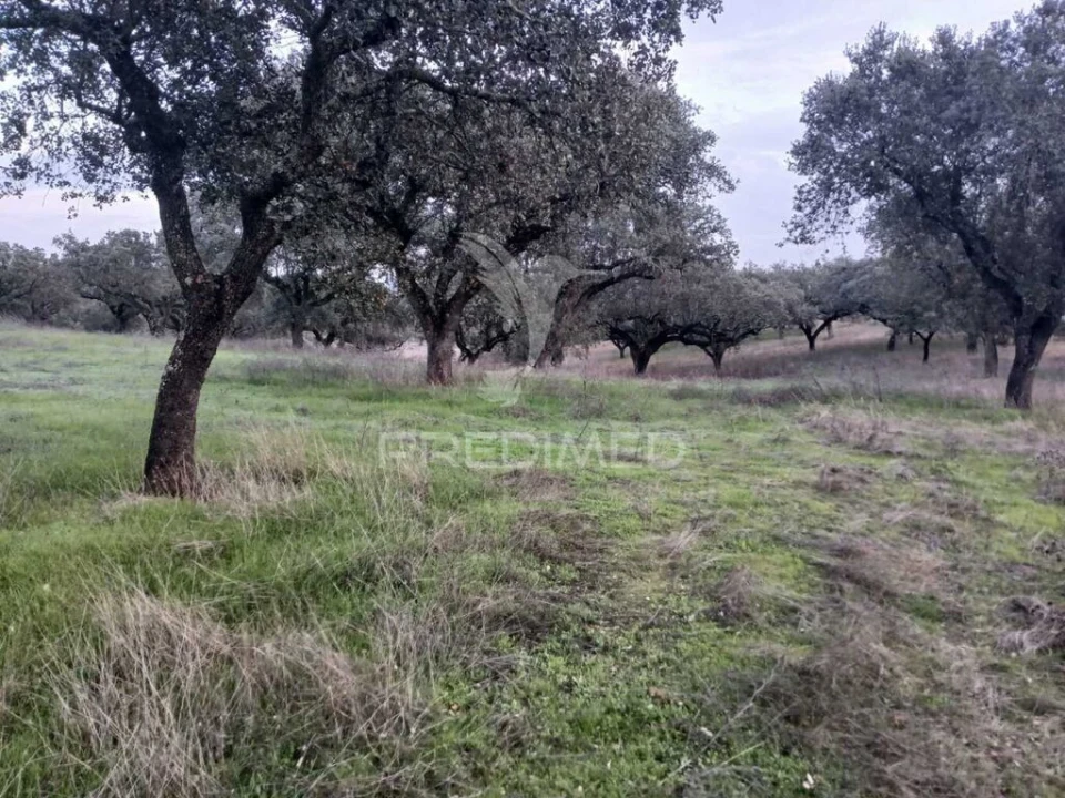 Terreno para Venda em Nossa Senhora da Conceição, São Brás dos Matos, Juromenha Foto 15