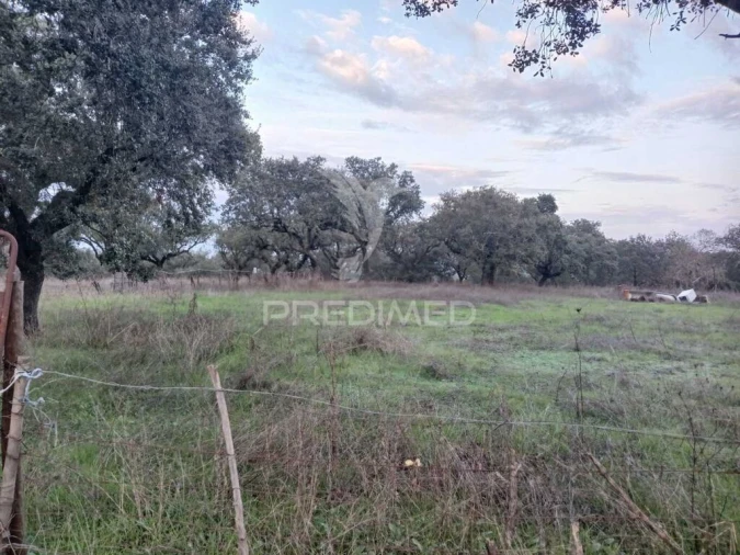 Terreno para Venda em Nossa Senhora da Conceição, São Brás dos Matos, Juromenha Foto 17