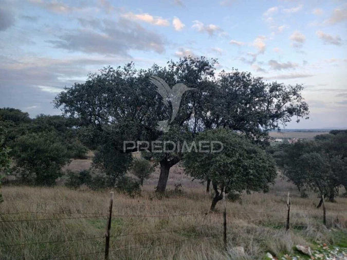 Terreno para Venda em Nossa Senhora da Conceição, São Brás dos Matos, Juromenha Foto 5