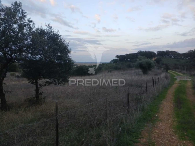Terreno para Venda em Nossa Senhora da Conceição, São Brás dos Matos, Juromenha Foto 2