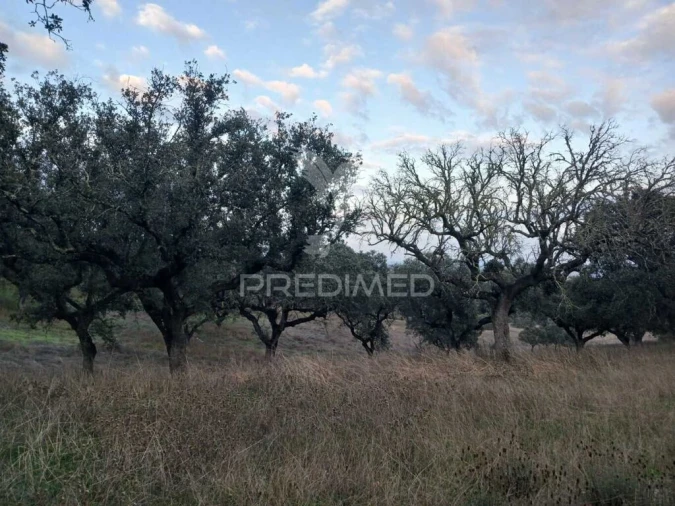 Terreno para Venda em Nossa Senhora da Conceição, São Brás dos Matos, Juromenha Foto 9