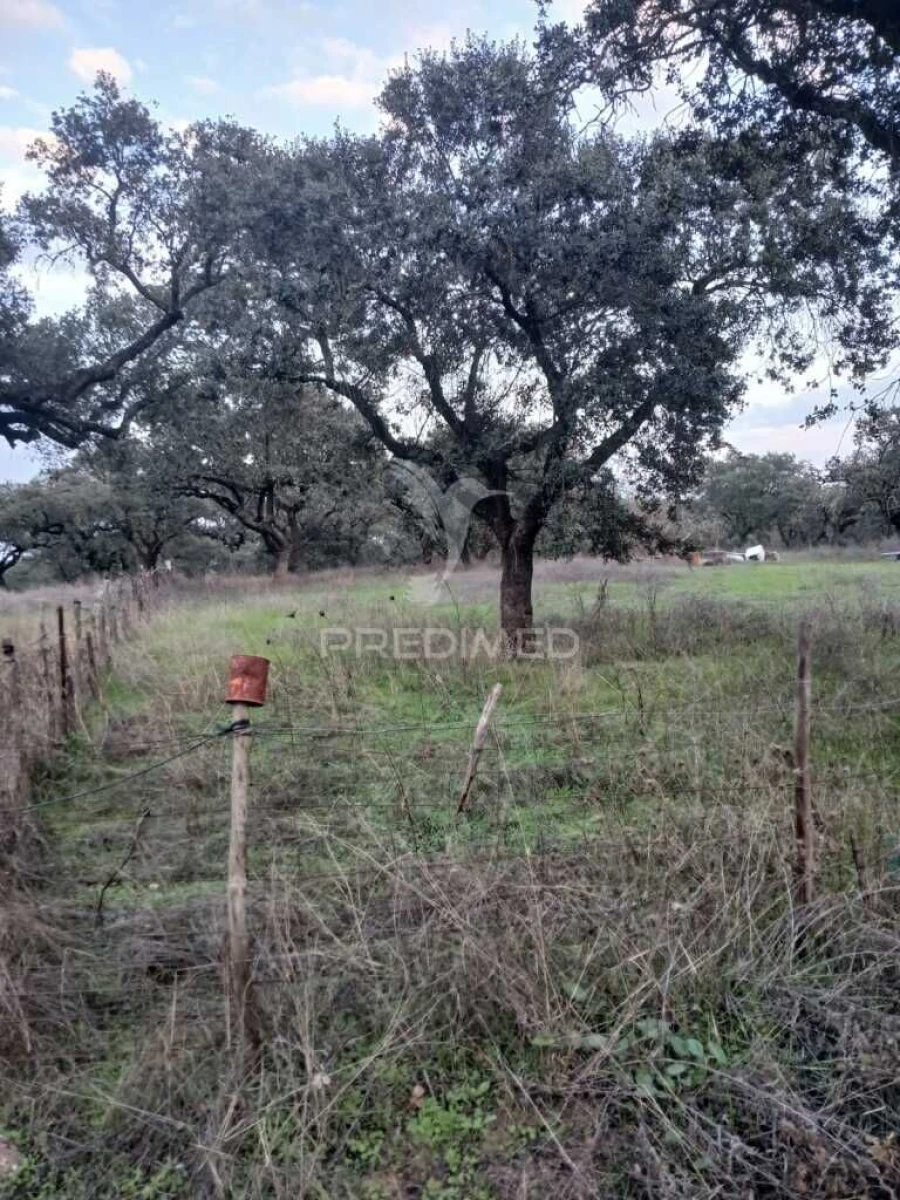 Terreno para Venda em Nossa Senhora da Conceição, São Brás dos Matos, Juromenha Foto 18