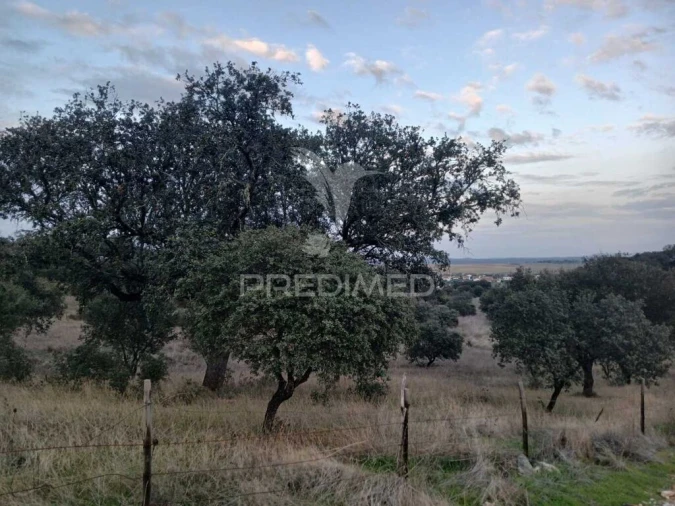 Terreno para Venda em Nossa Senhora da Conceição, São Brás dos Matos, Juromenha Foto 4