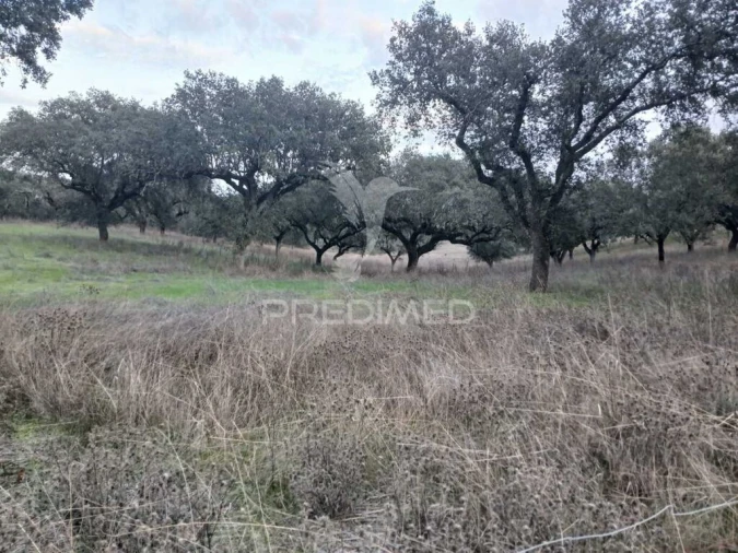 Terreno para Venda em Nossa Senhora da Conceição, São Brás dos Matos, Juromenha Foto 12
