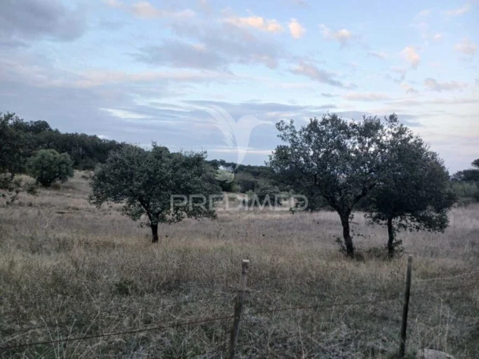 Terreno para Venda em Nossa Senhora da Conceição, São Brás dos Matos, Juromenha Foto 8