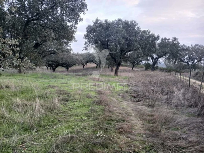 Terreno para Venda em Nossa Senhora da Conceição, São Brás dos Matos, Juromenha Foto 16