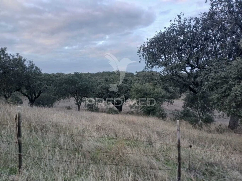 Terreno para Venda em Nossa Senhora da Conceição, São Brás dos Matos, Juromenha Foto 3