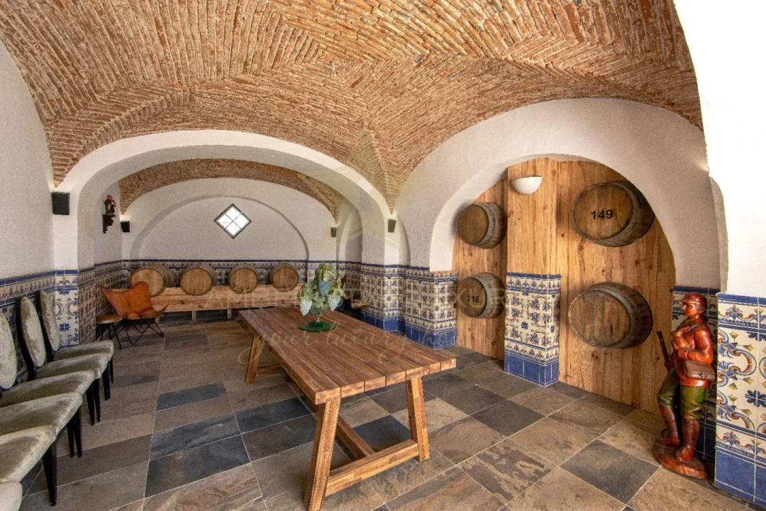 Quinta T12 para Venda em Cuba Foto 3