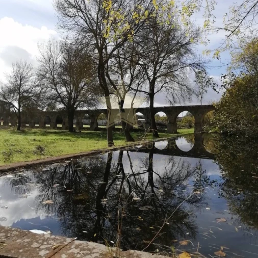 Quinta T12 para Venda em Cuba Foto 11