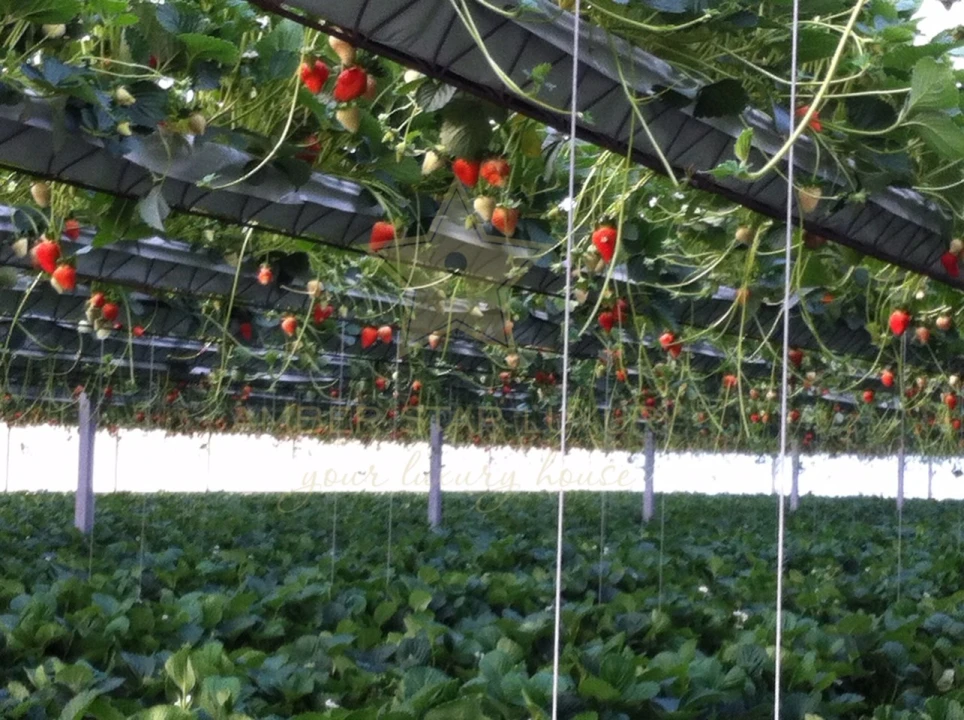 Terreno Agricola ou Rústico para Venda em Samuel Foto 11