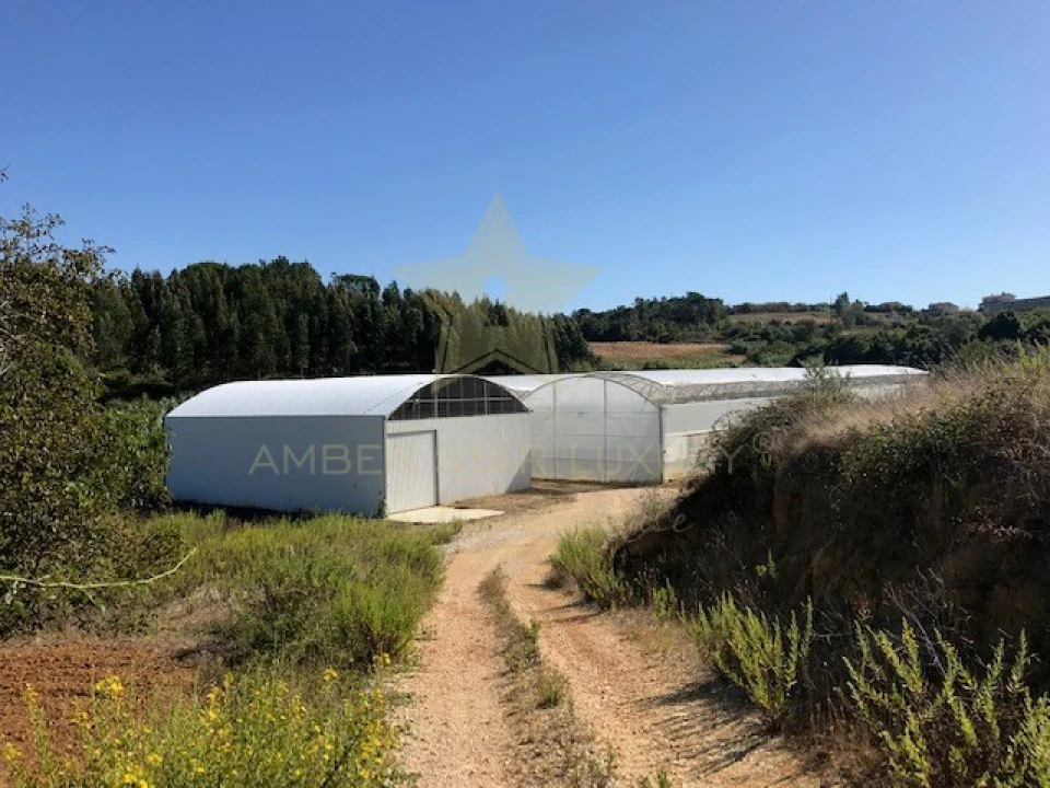 Terreno Agricola ou Rústico para Venda em Samuel Foto 13