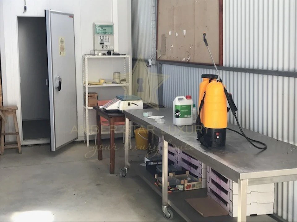 Terreno Agricola ou Rústico para Venda em Samuel Foto 20