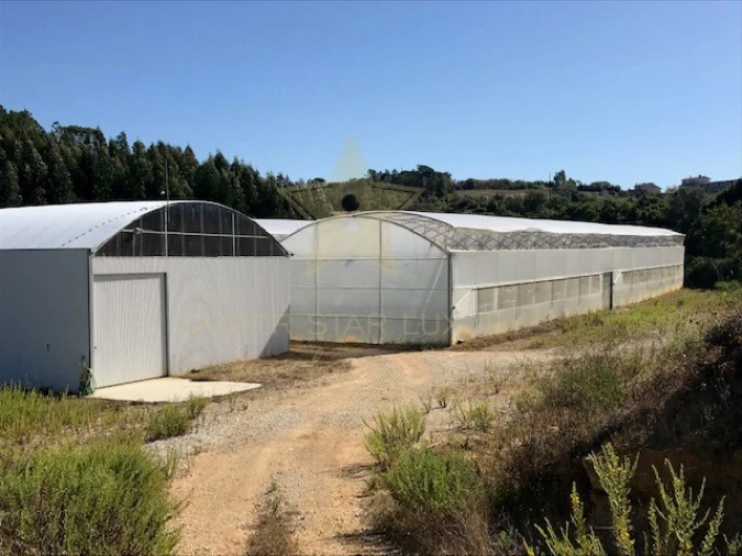Terreno Agricola ou Rústico para Venda em Samuel Foto 2