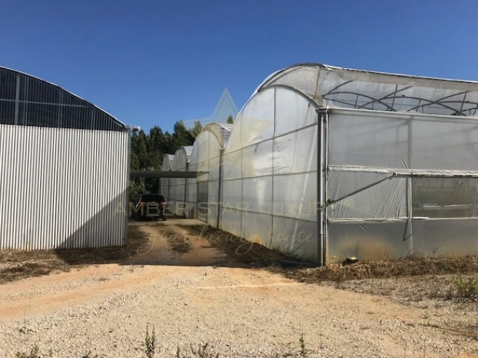 Terreno Agricola ou Rústico para Venda em Samuel Foto 3