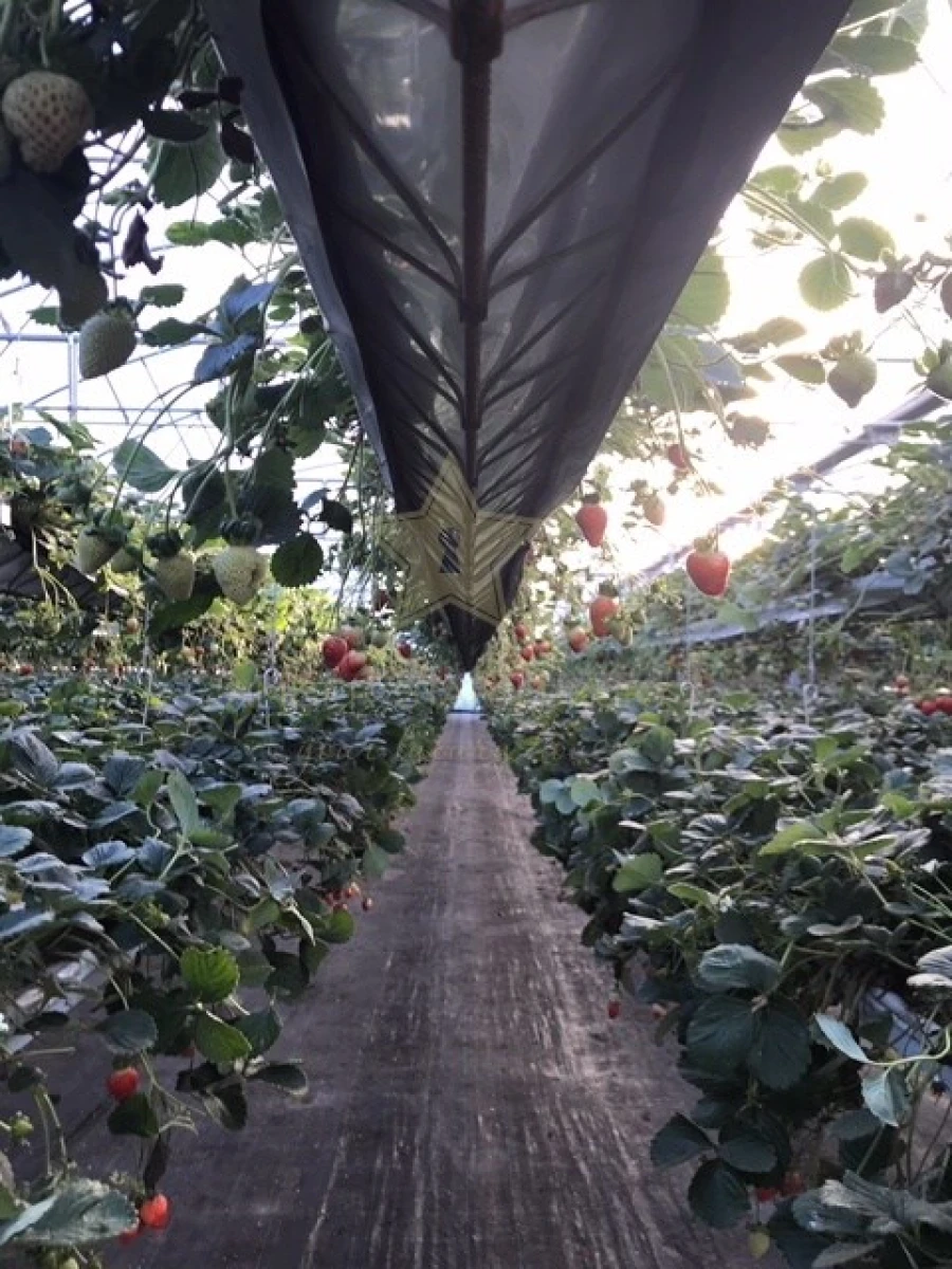 Terreno Agricola ou Rústico para Venda em Samuel Foto 9