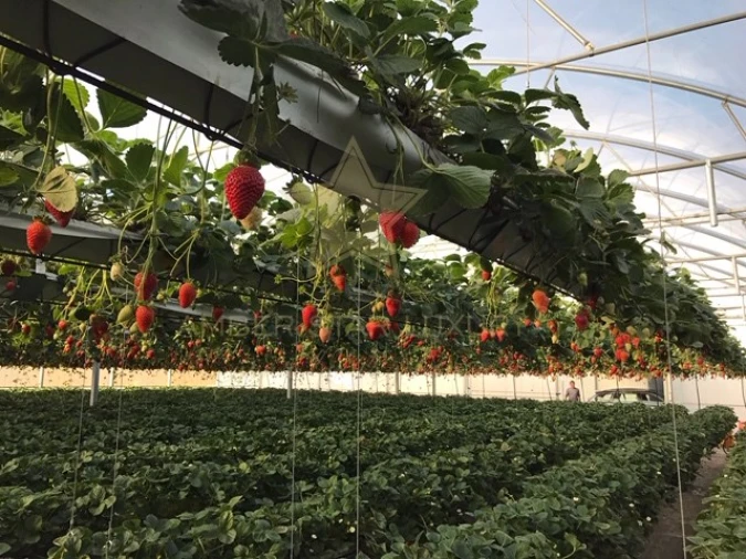 Terreno Agricola ou Rústico para Venda em Samuel Foto 10