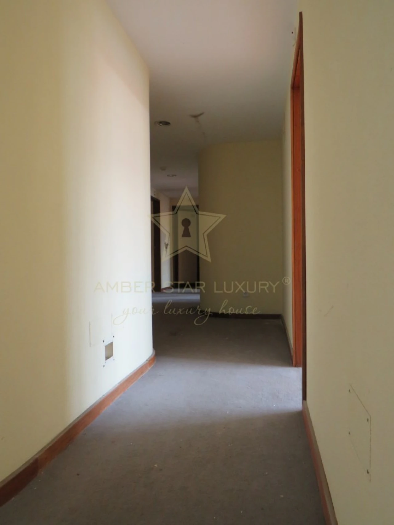 Negócio para Venda em Mesão Frio (Santo André) Foto 74