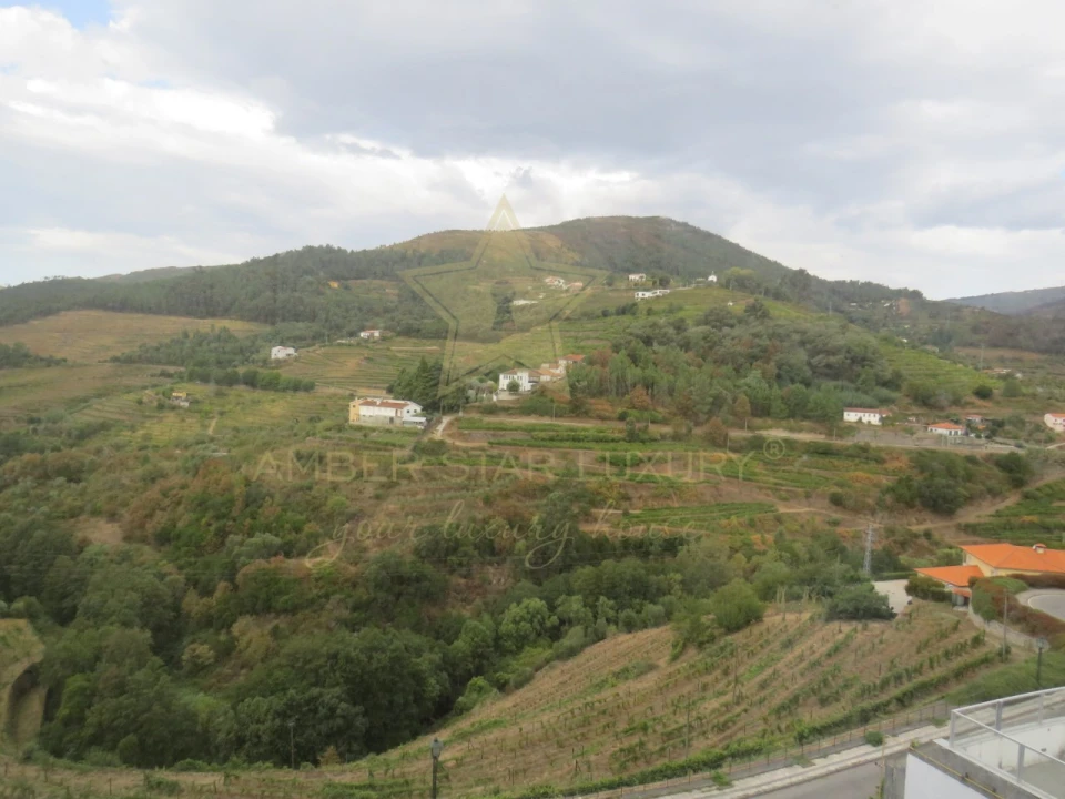 Negócio para Venda em Mesão Frio (Santo André) Foto 83