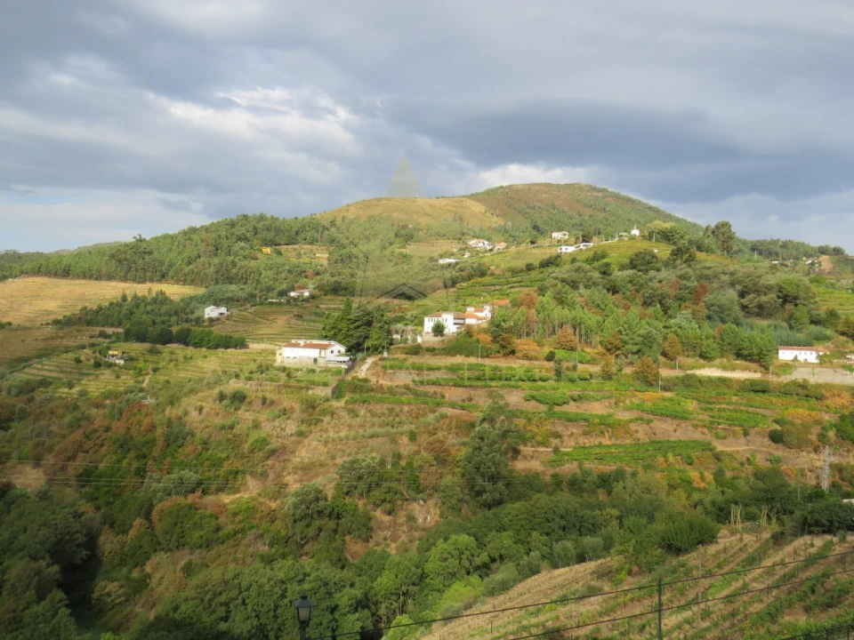 Negócio para Venda em Mesão Frio (Santo André) Foto 84