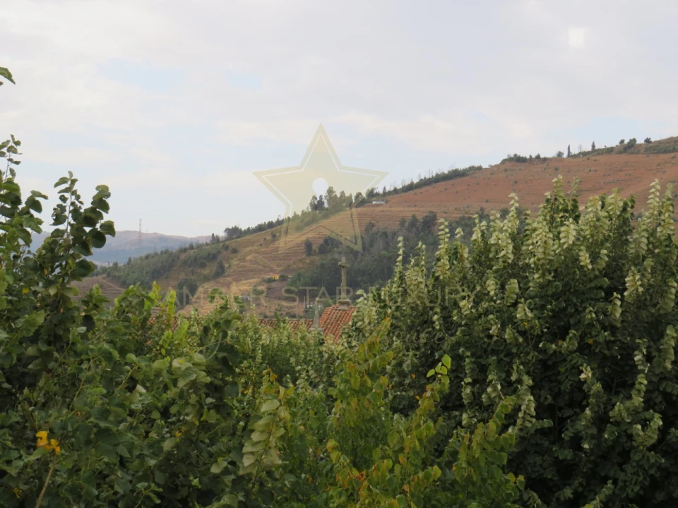 Negócio para Venda em Mesão Frio (Santo André) Foto 86