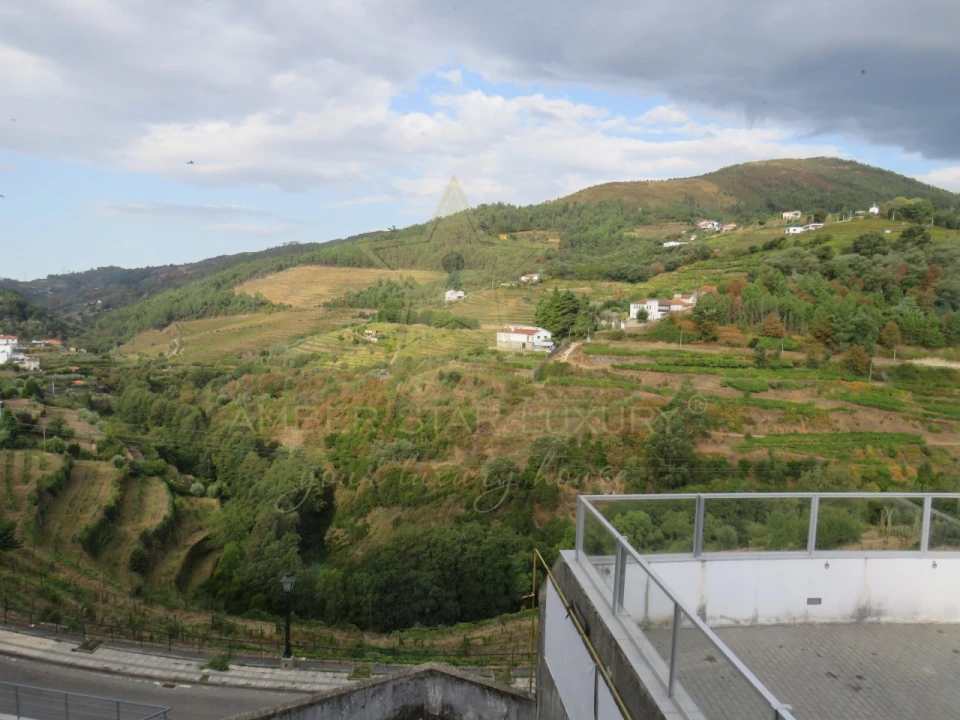 Negócio para Venda em Mesão Frio (Santo André) Foto 88