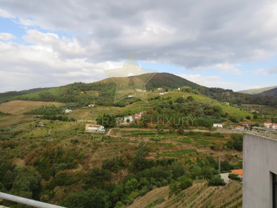 Negócio para Venda em Mesão Frio (Santo André) Foto 96