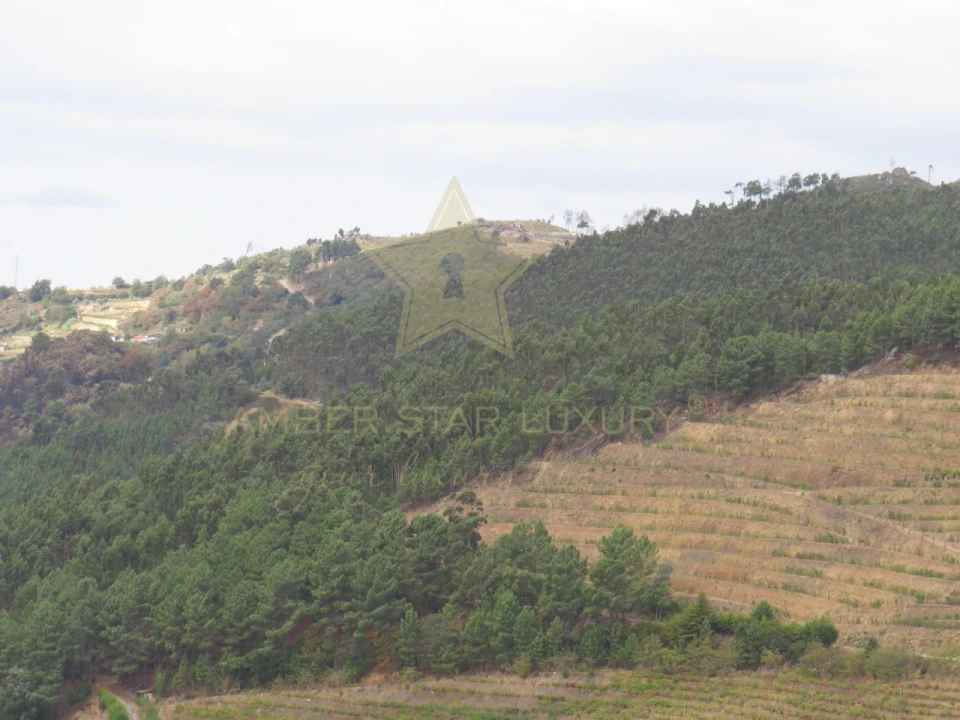 Negócio para Venda em Mesão Frio (Santo André) Foto 109