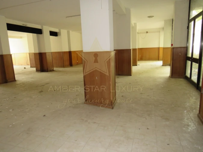 Negócio para Venda em Mesão Frio (Santo André) Foto 41