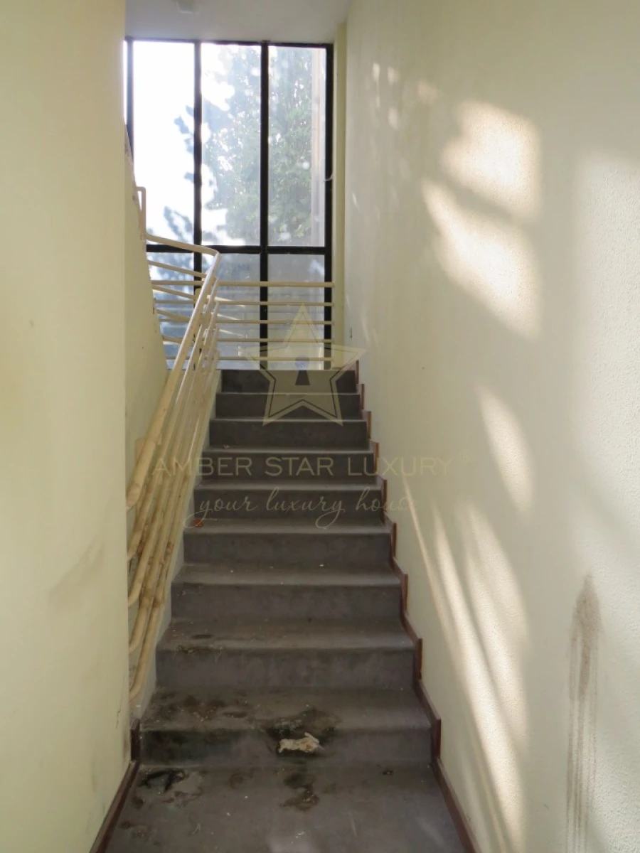 Negócio para Venda em Mesão Frio (Santo André) Foto 56