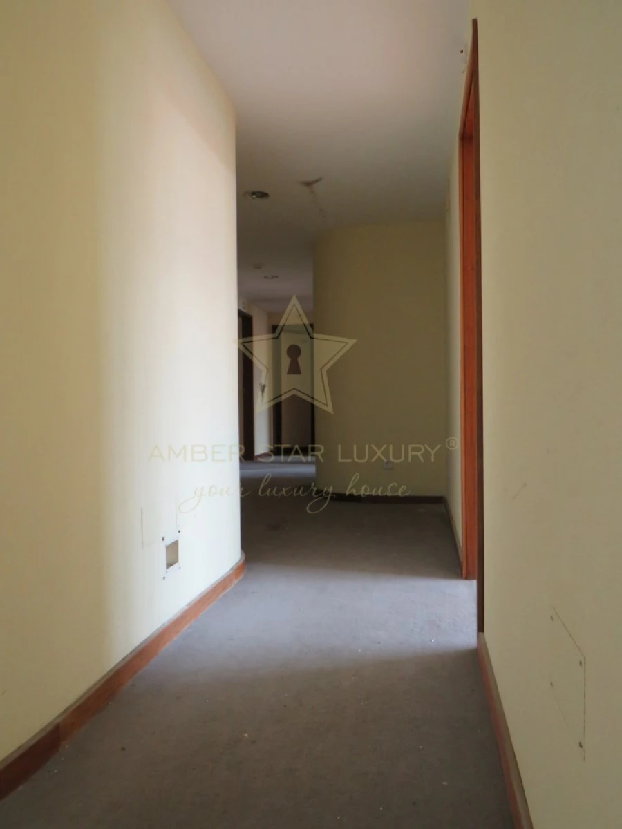 Negócio para Venda em Mesão Frio (Santo André) Foto 74