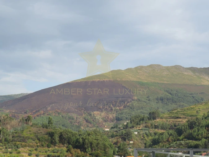 Negócio para Venda em Mesão Frio (Santo André) Foto 81