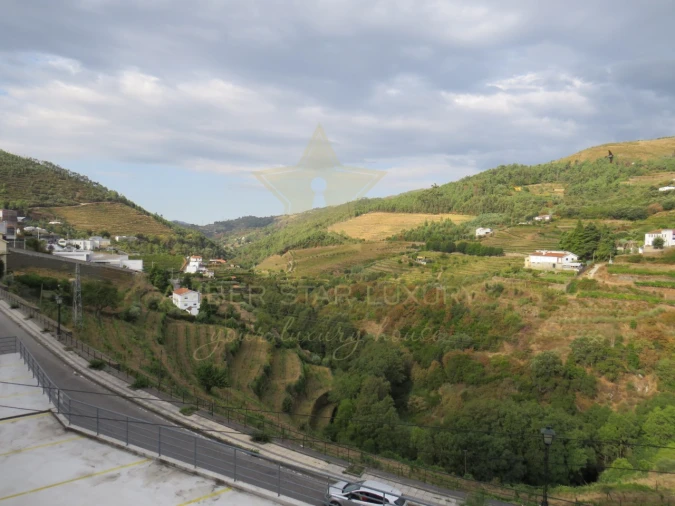 Negócio para Venda em Mesão Frio (Santo André) Foto 82