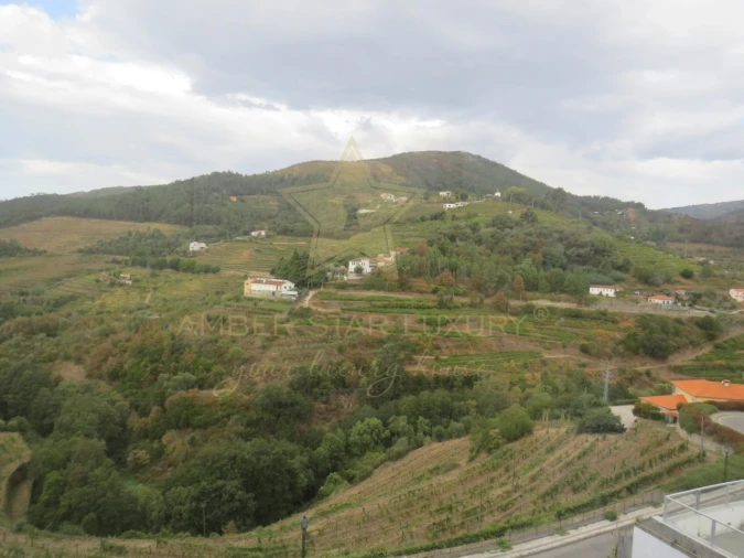 Negócio para Venda em Mesão Frio (Santo André) Foto 83