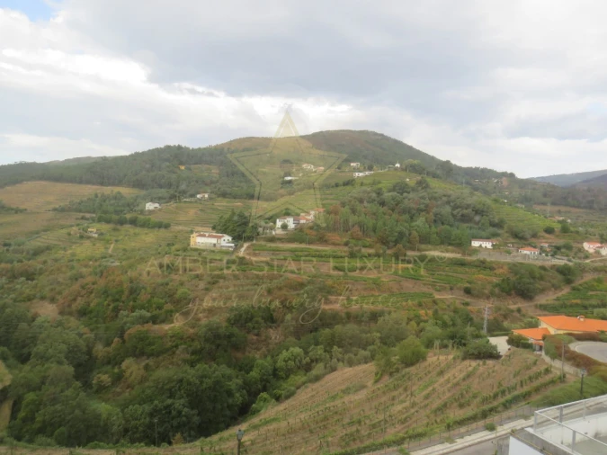 Negócio para Venda em Mesão Frio (Santo André) Foto 85