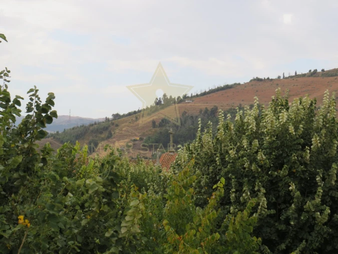 Negócio para Venda em Mesão Frio (Santo André) Foto 86