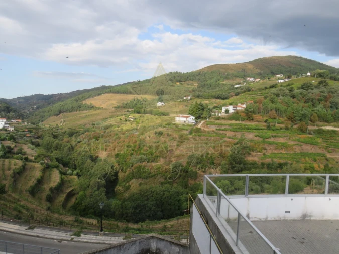 Negócio para Venda em Mesão Frio (Santo André) Foto 88