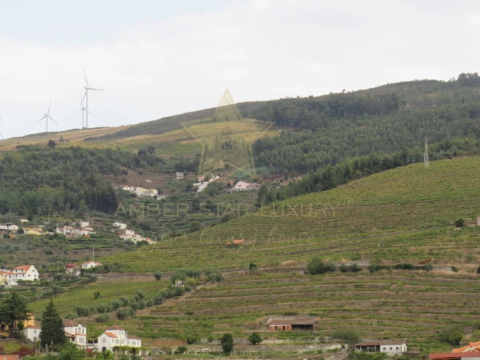 Negócio para Venda em Mesão Frio (Santo André) Foto 91