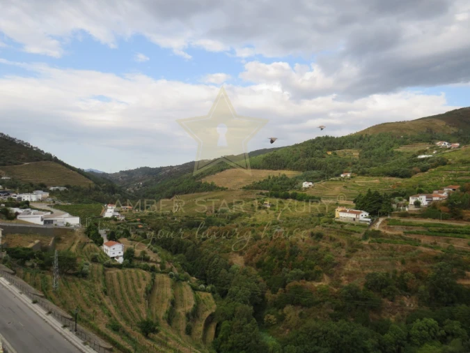 Negócio para Venda em Mesão Frio (Santo André) Foto 95