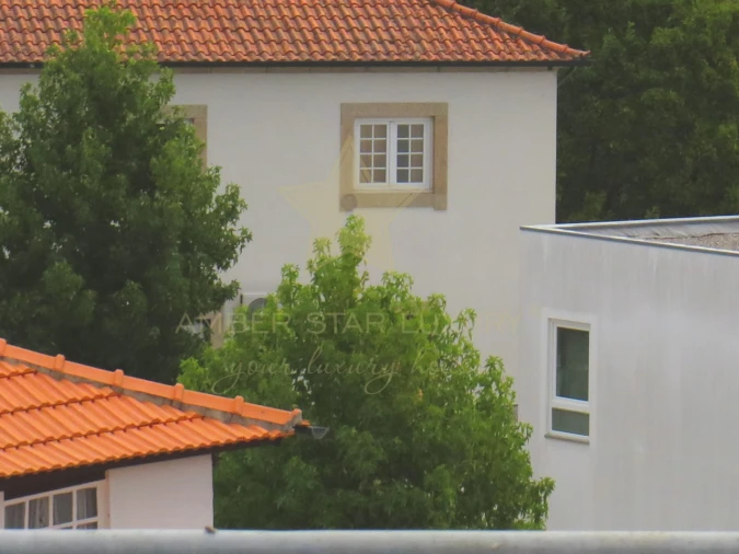 Negócio para Venda em Mesão Frio (Santo André) Foto 104