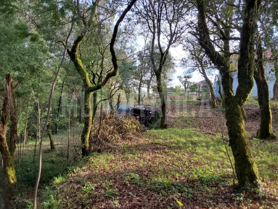 Terreno para Venda em Carreiras (São Miguel) e Carreiras (Santiago) Foto 3