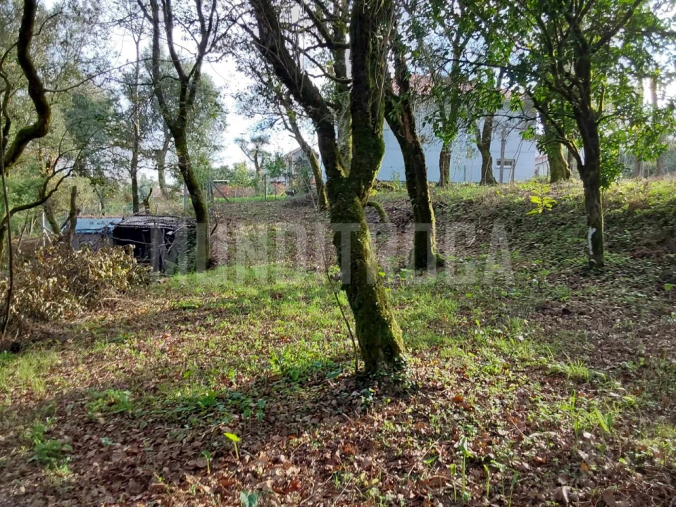 Terreno para Venda em Carreiras (São Miguel) e Carreiras (Santiago) Foto 7