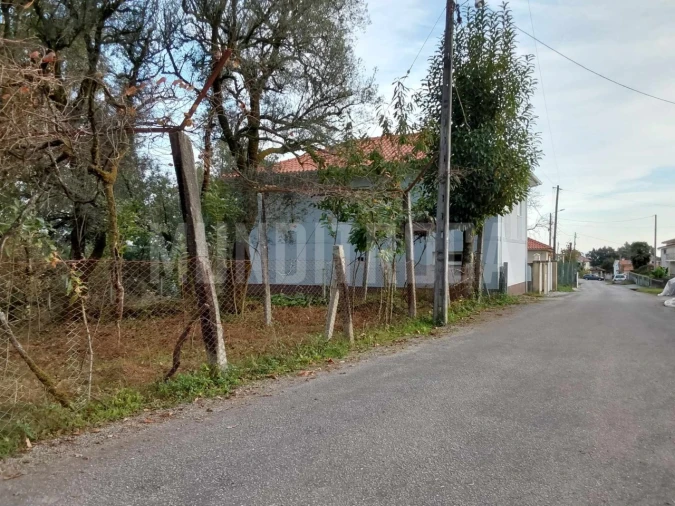 Terreno para Venda em Carreiras (São Miguel) e Carreiras (Santiago) Foto 5
