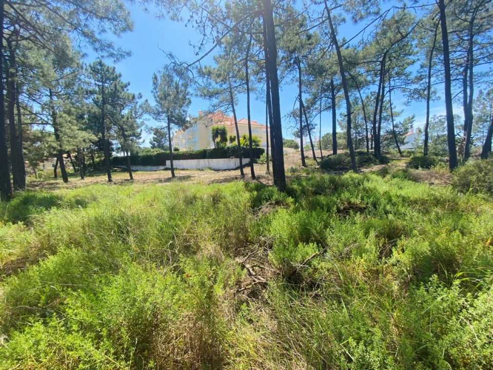 Terreno para Venda em Carvalhal Foto 13