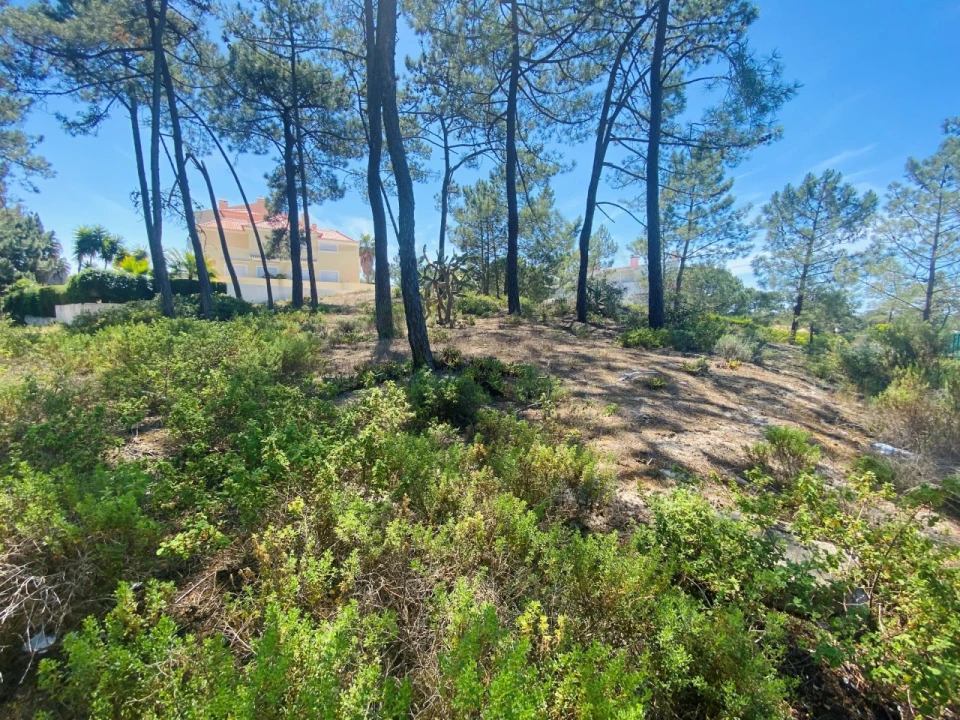 Terreno para Venda em Carvalhal Foto 15