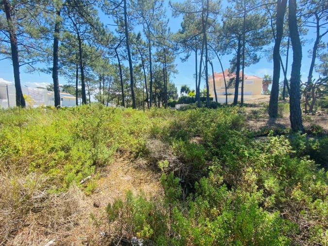 Terreno para Venda em Carvalhal Foto 16