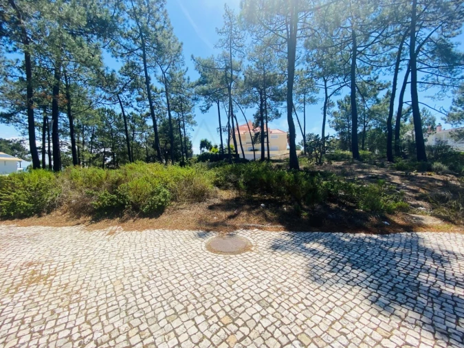 Terreno para Venda em Carvalhal Foto 19