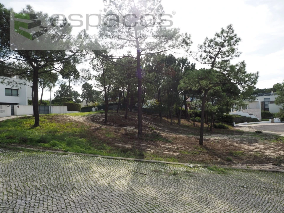 Terreno para Venda em Carvalhal Foto 4