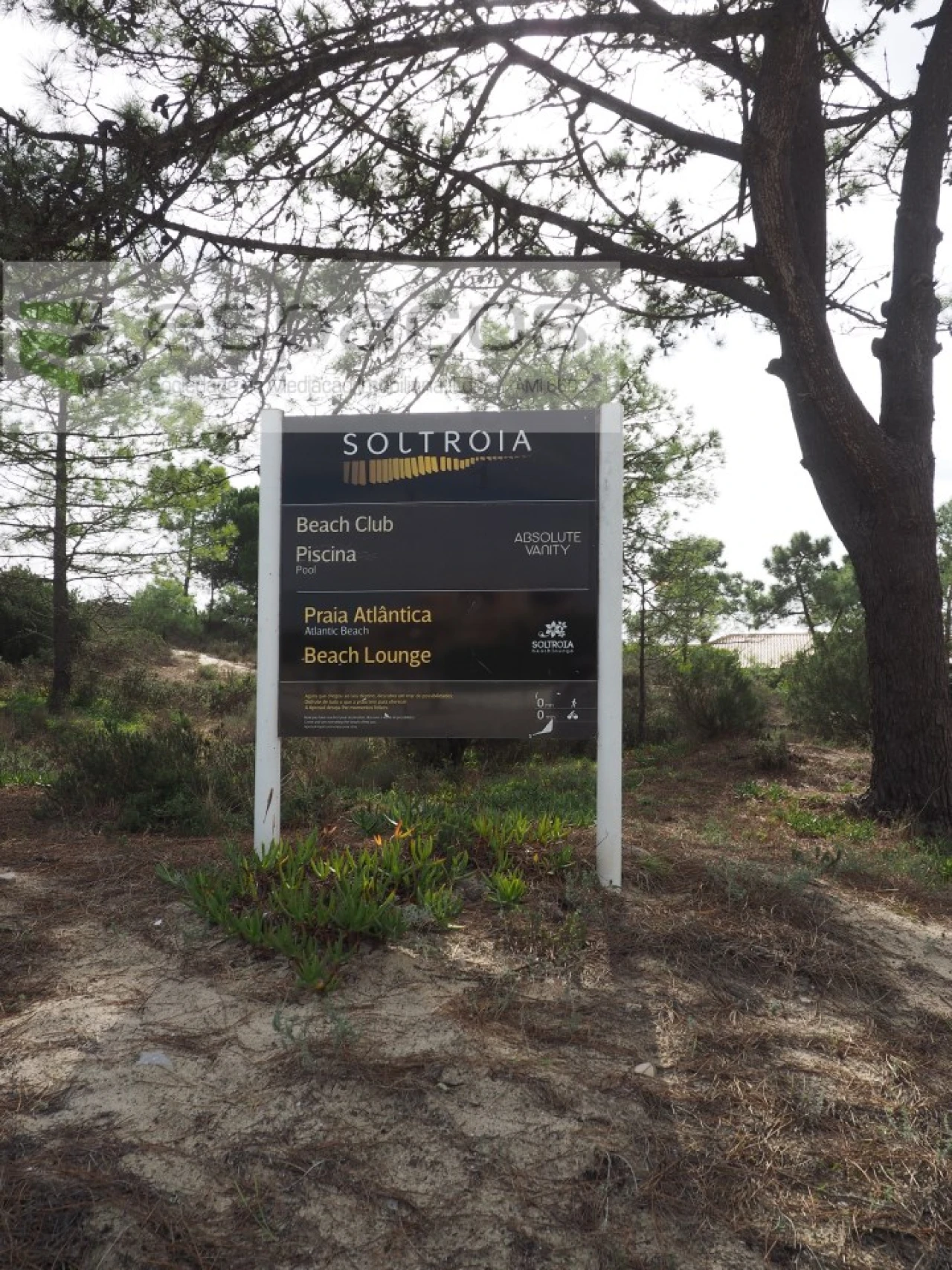 Terreno para Venda em Carvalhal Foto 8