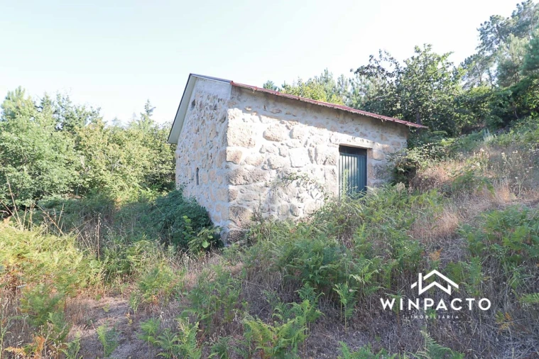 Terreno Agricola ou Rústico para Venda em Fornos de Maceira Dão Foto 1
